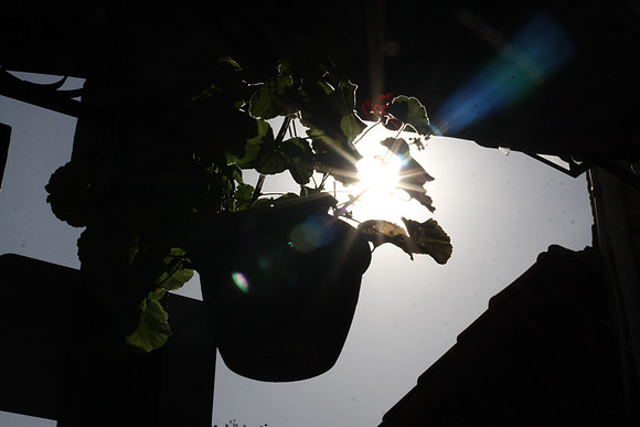 JSilva_15403_0014