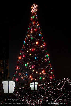 JSilva_121227_0037