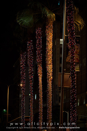 JSilva_121227_0032