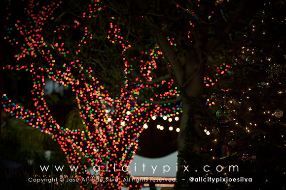 JSilva_121227_0023
