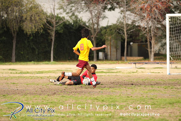 JSilva_110108_0037