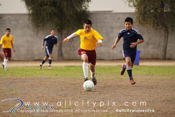 JSilva_110108_0033