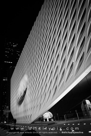 JSilva_170913_0046