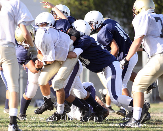 JSilva_111103_0039